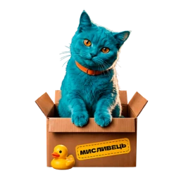 CatBack Bonus